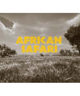 African Safari Steam Key GLOBAL